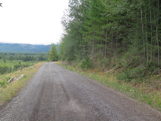 Lower NF75 - 24