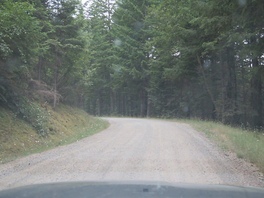 Lower NF75 - 166