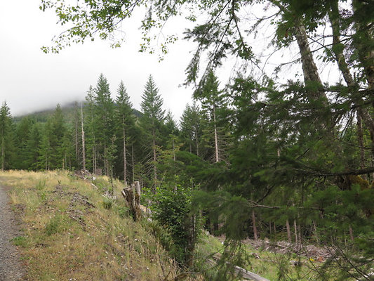 Lower NF75 - 22