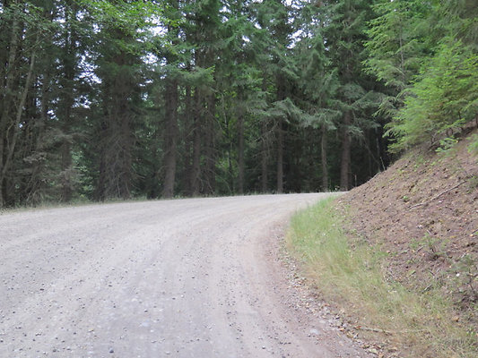 Lower NF75 - 90