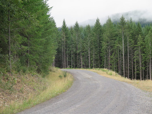 Lower NF75 - 28