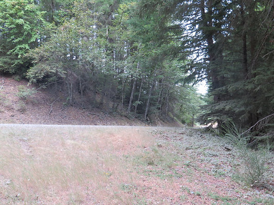Lower NF75 - 99