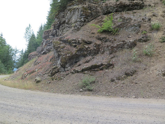 Lower NF75 - 141