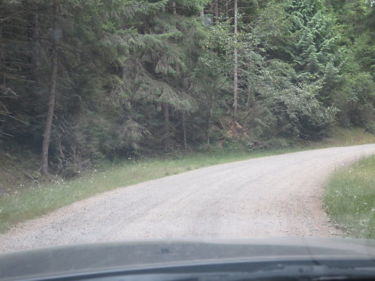 Lower NF75 - 164