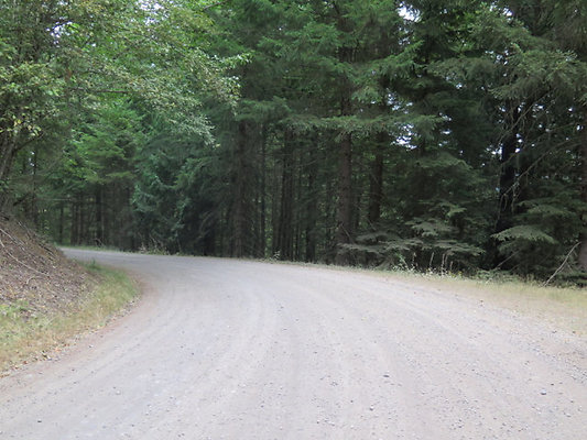 Lower NF75 - 79