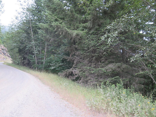 Lower NF75 - 119