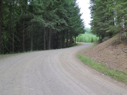 Lower NF75 - 91