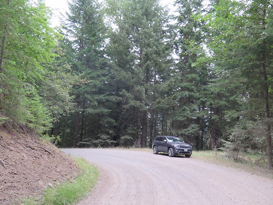 Lower NF75 - 77