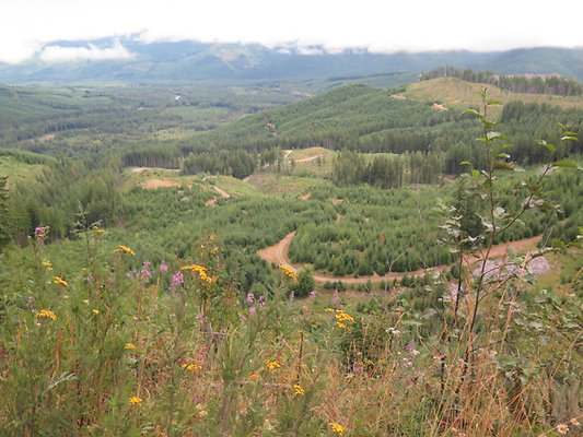 Lower NF75 - 109