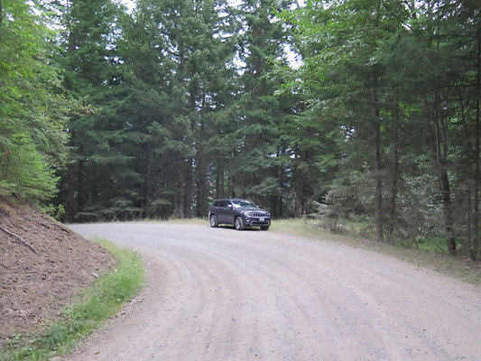 Lower NF75 - 76