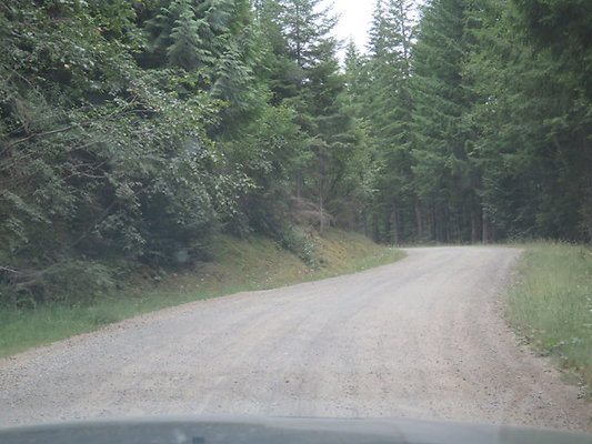Lower NF75 - 165