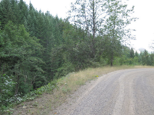Lower NF75 - 135