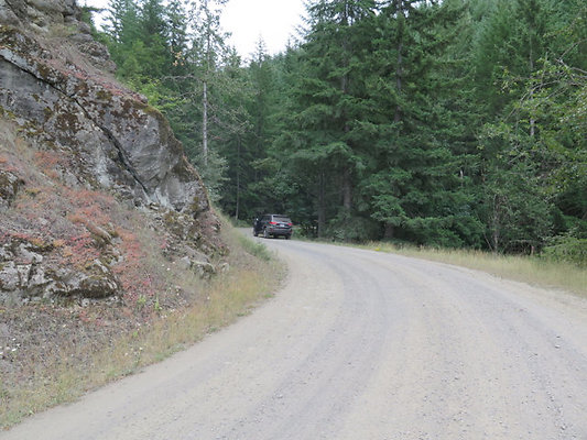 Lower NF75 - 157