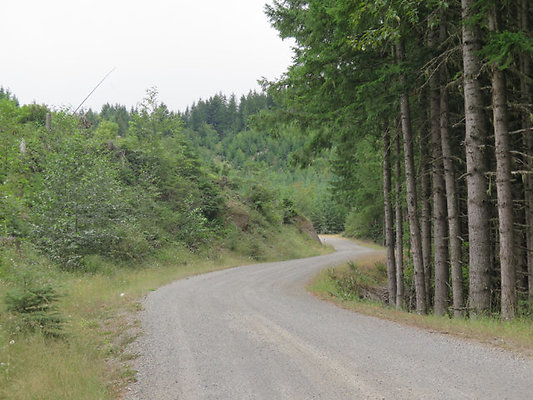 Lower NF75 - 67