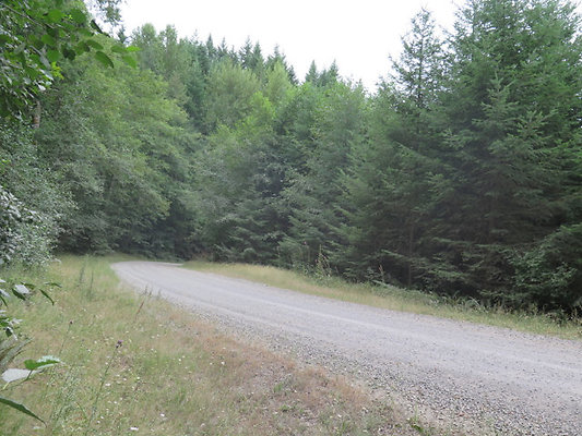 Lower NF75 - 57