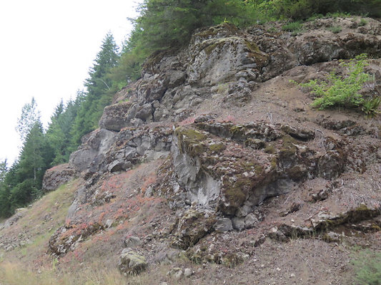 Lower NF75 - 146