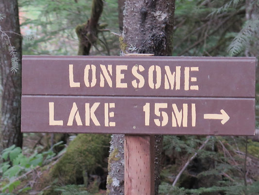 Lower NF75 - 3
