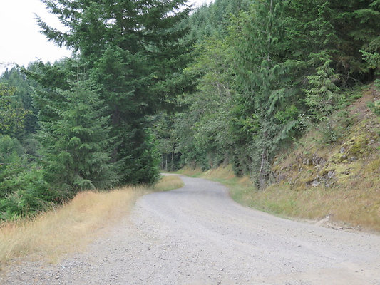 Lower NF75 - 114