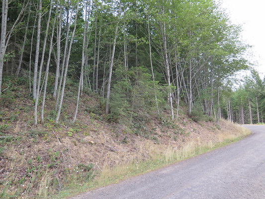 Lower NF75 - 20