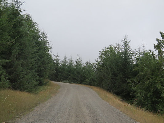 Lower NF75 - 106
