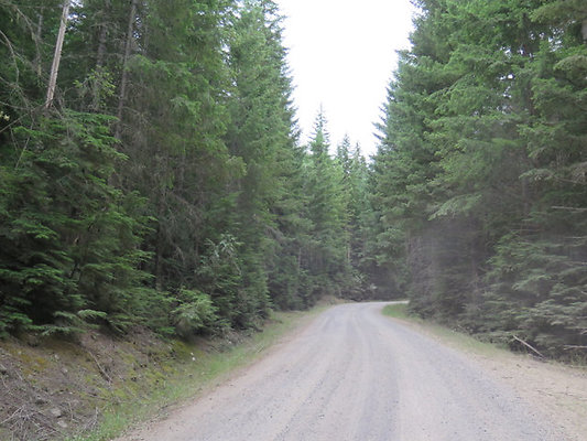 Lower NF75 - 171
