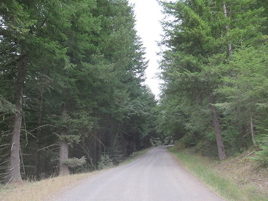 Lower NF75 - 68