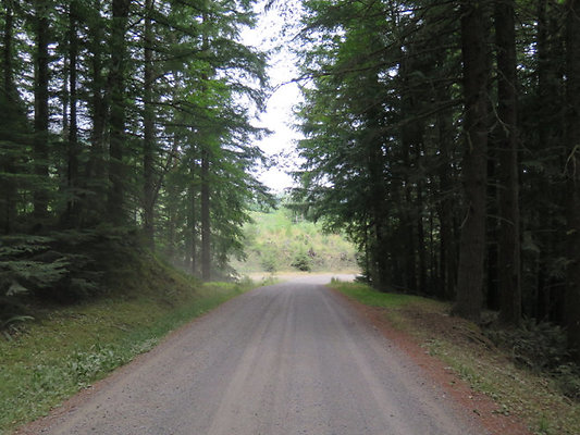 Lower NF75 - 43