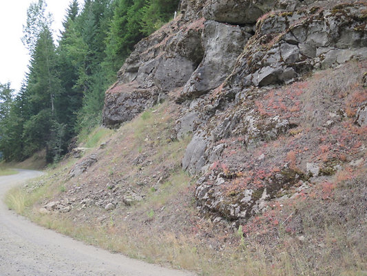 Lower NF75 - 149