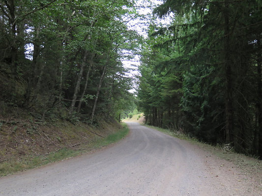 Lower NF75 - 81