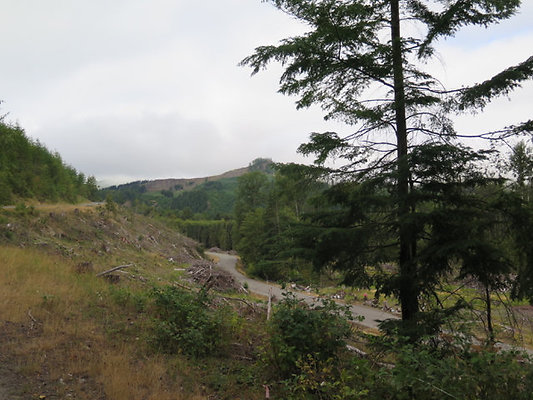 Lower NF75 - 9