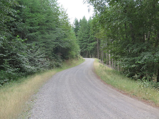 Lower NF75 - 37