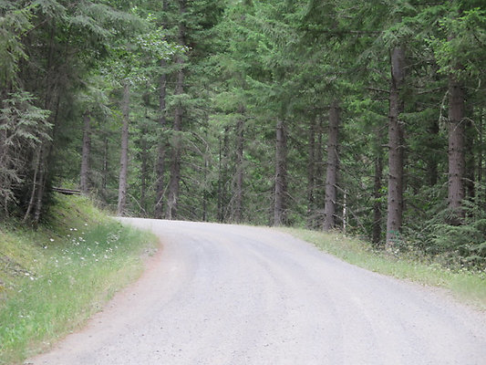 Lower NF75 - 168