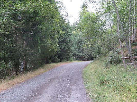 Lower NF75 - 11