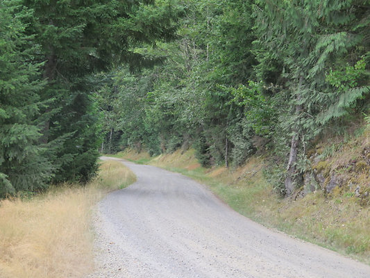 Lower NF75 - 116