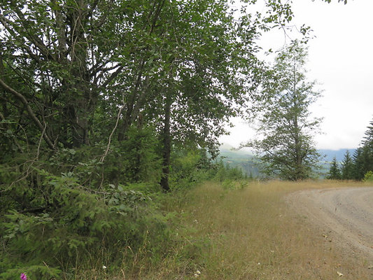 Lower NF75 - 139