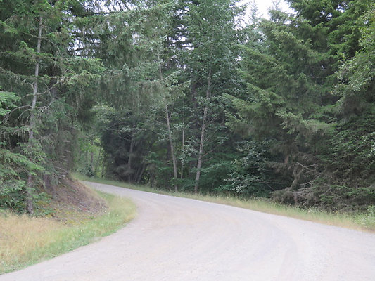 Lower NF75 - 115