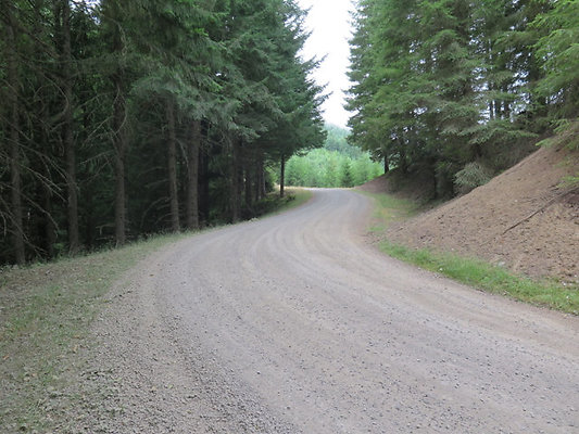 Lower NF75 - 92