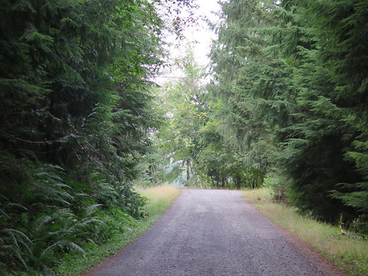Lower NF75 - 6