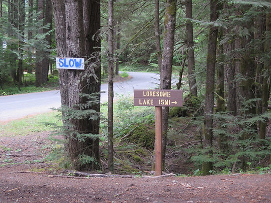Lower NF75 - 4