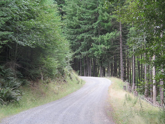 Lower NF75 - 38