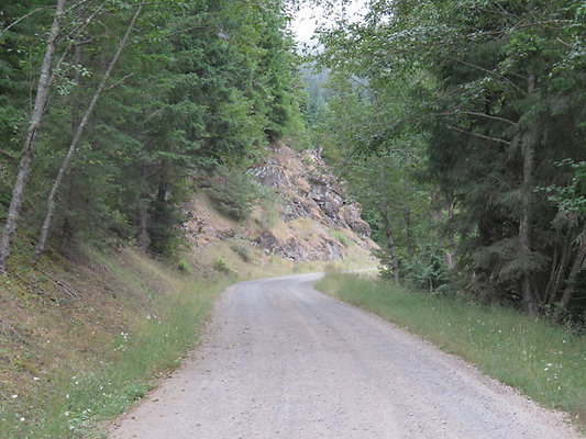Lower NF75 - 121