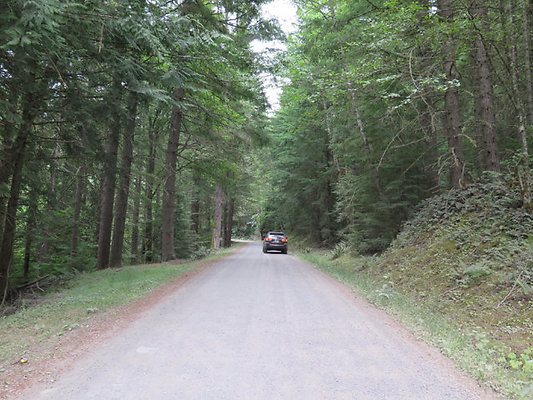 Lower NF75 - 46