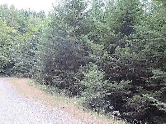 Lower NF75 - 65