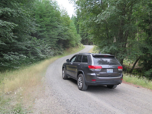 Lower NF75 - 36