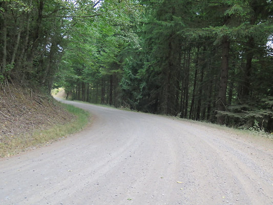 Lower NF75 - 80
