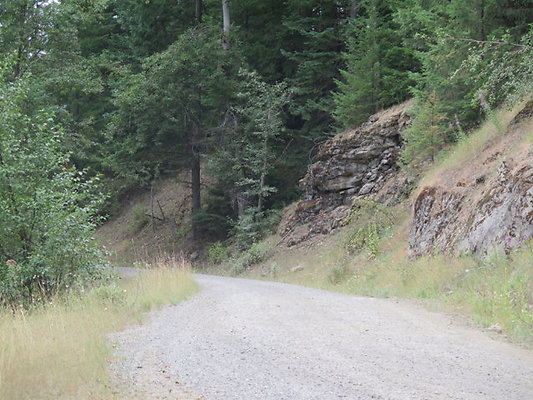 Lower NF75 - 156