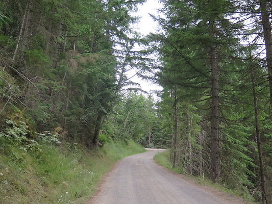 Lower NF75 - 160