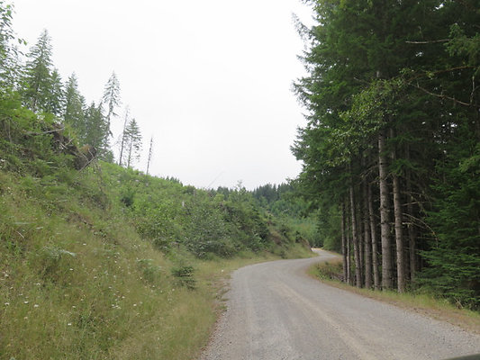 Lower NF75 - 66
