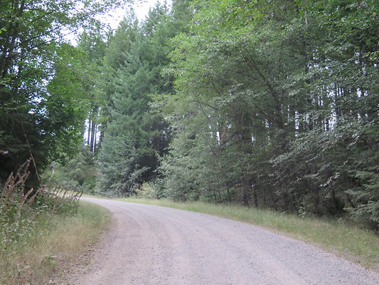 Lower NF75 - 55