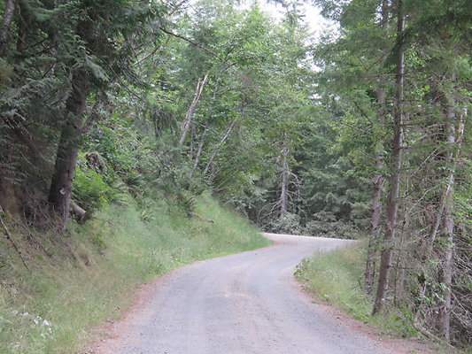 Lower NF75 - 161